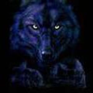 Meet your Posher, Russell